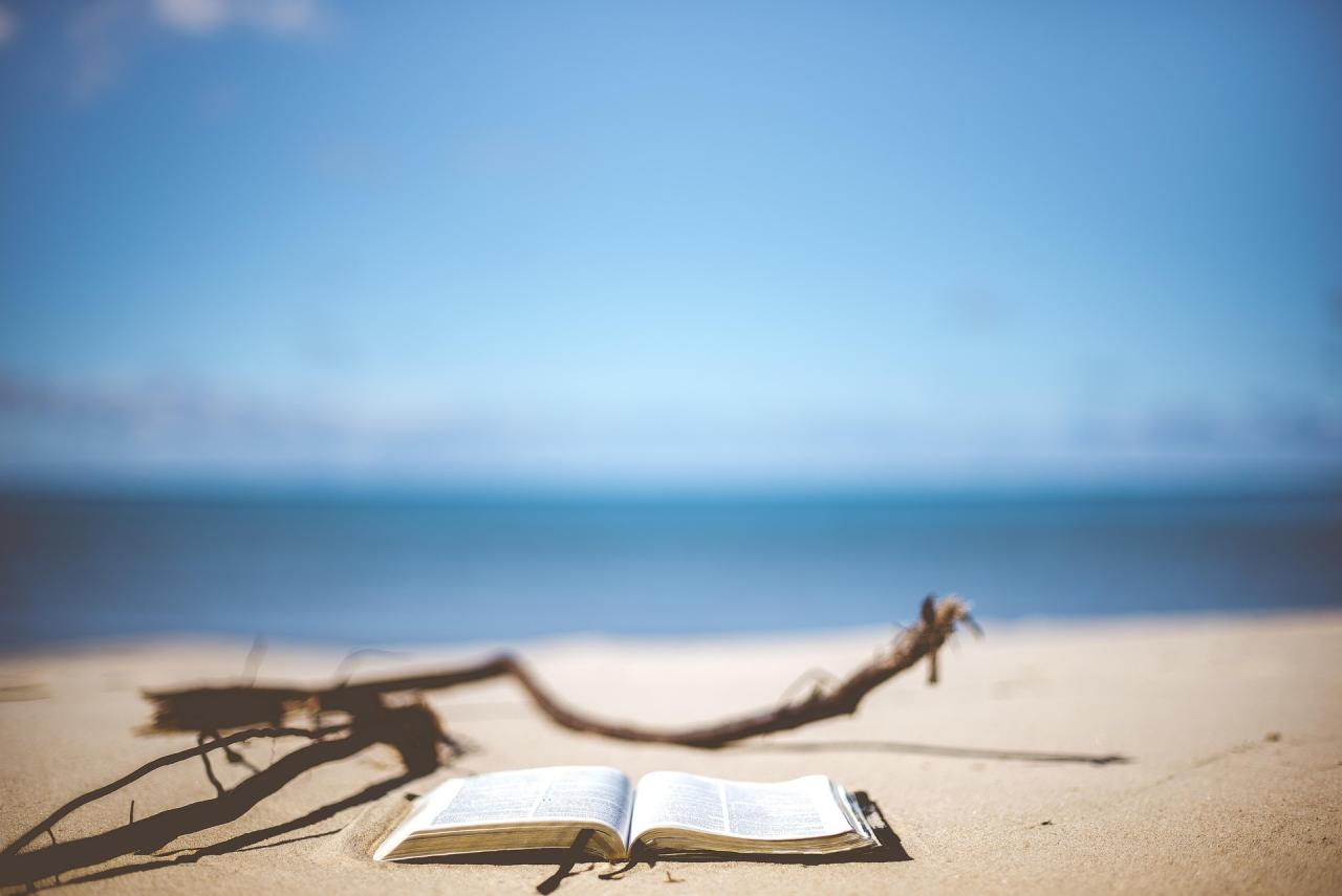 Strand_Buch